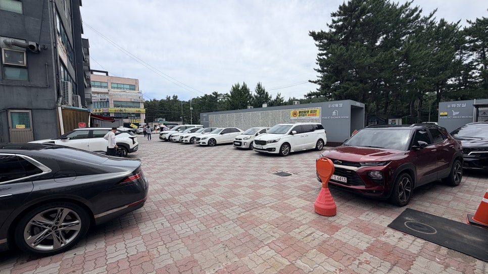 순두부젤라또 4호점 사진 5