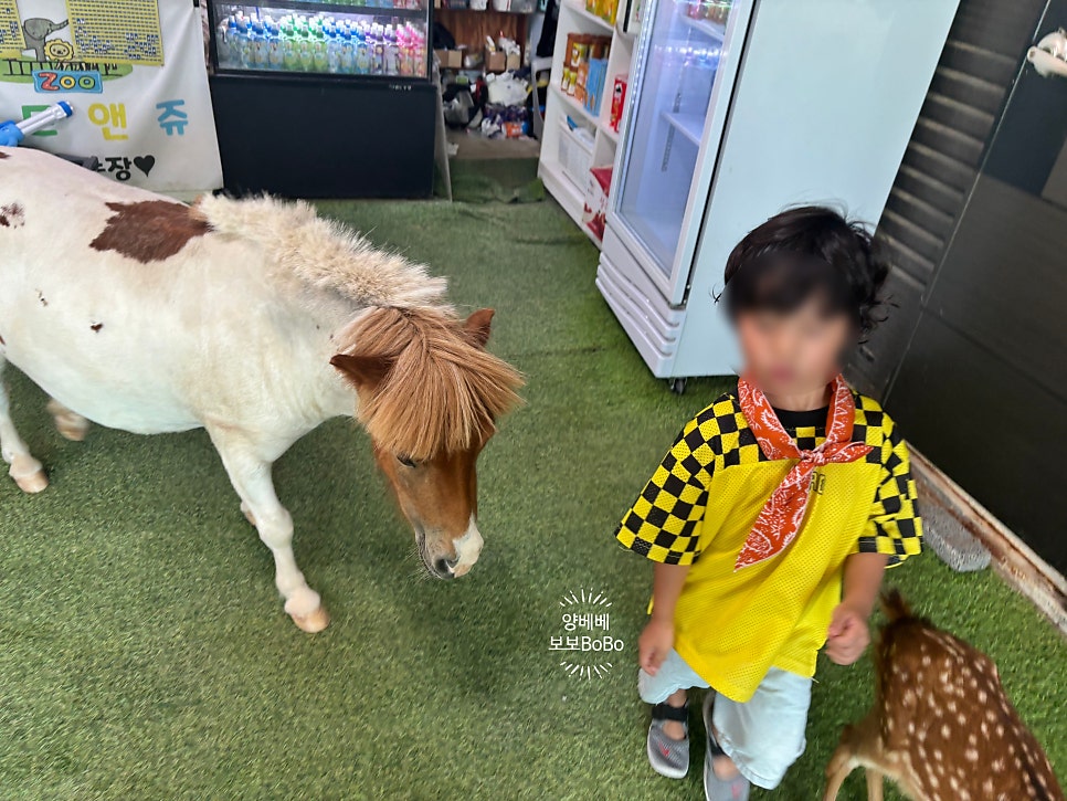 버드앤쥬 사진 3