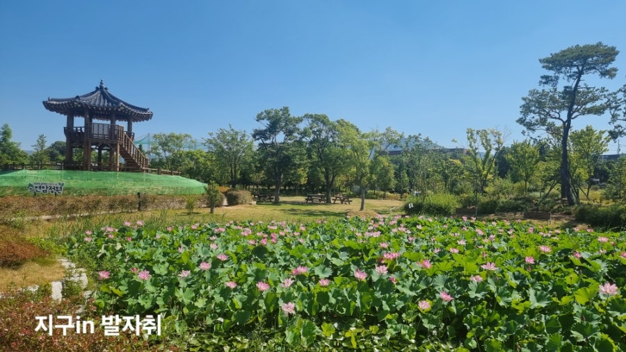 정원 사진 4