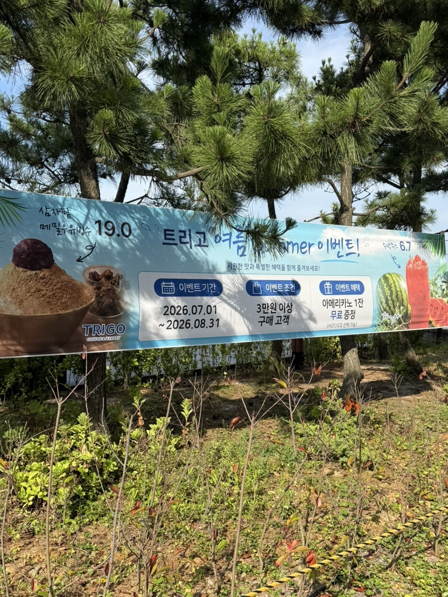 트리고 삼척해변점 사진 2