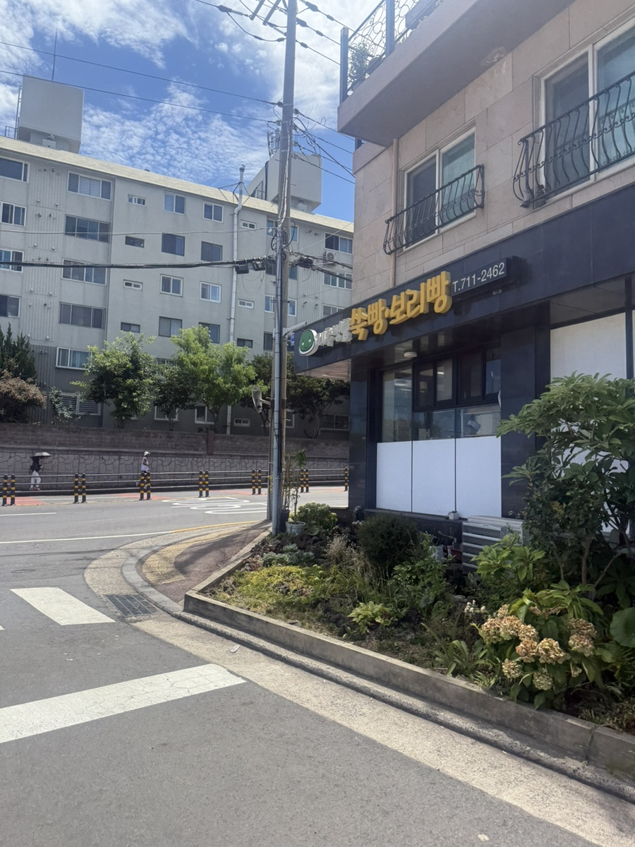 제주명품쑥보리빵 사진 1