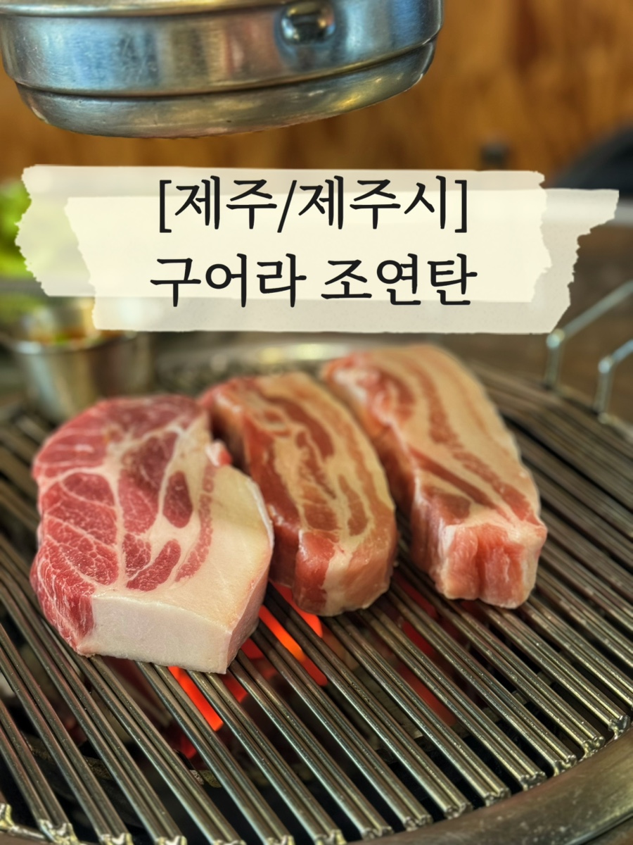 구어라조연탄 사진 1