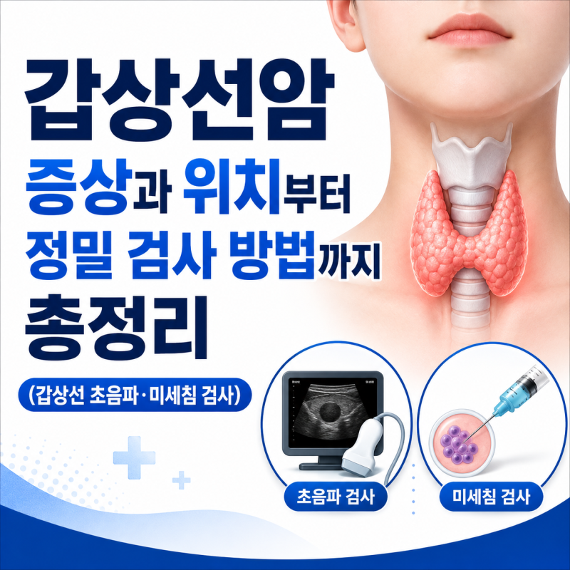갑상선암 증상과 위치부터 정밀 검사 방법까지 총정리 (갑상선 초음파·미세침 검사)
