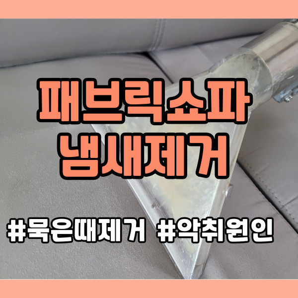 패브릭소파 냄새 제거 방법과 다양한 원인 3가지 이유