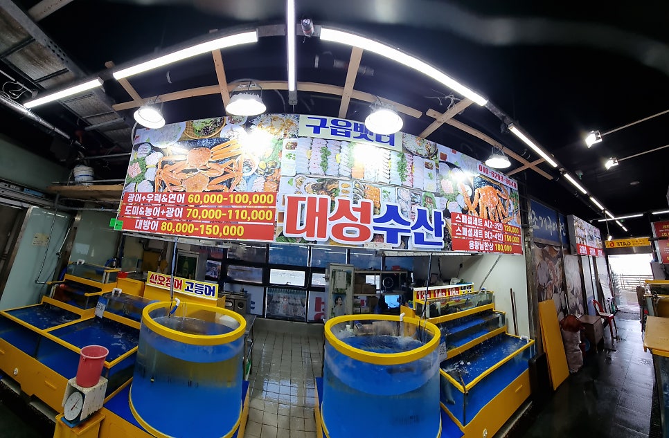 작약도 사진 6