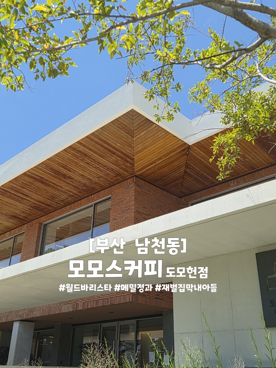 숲 사진 1