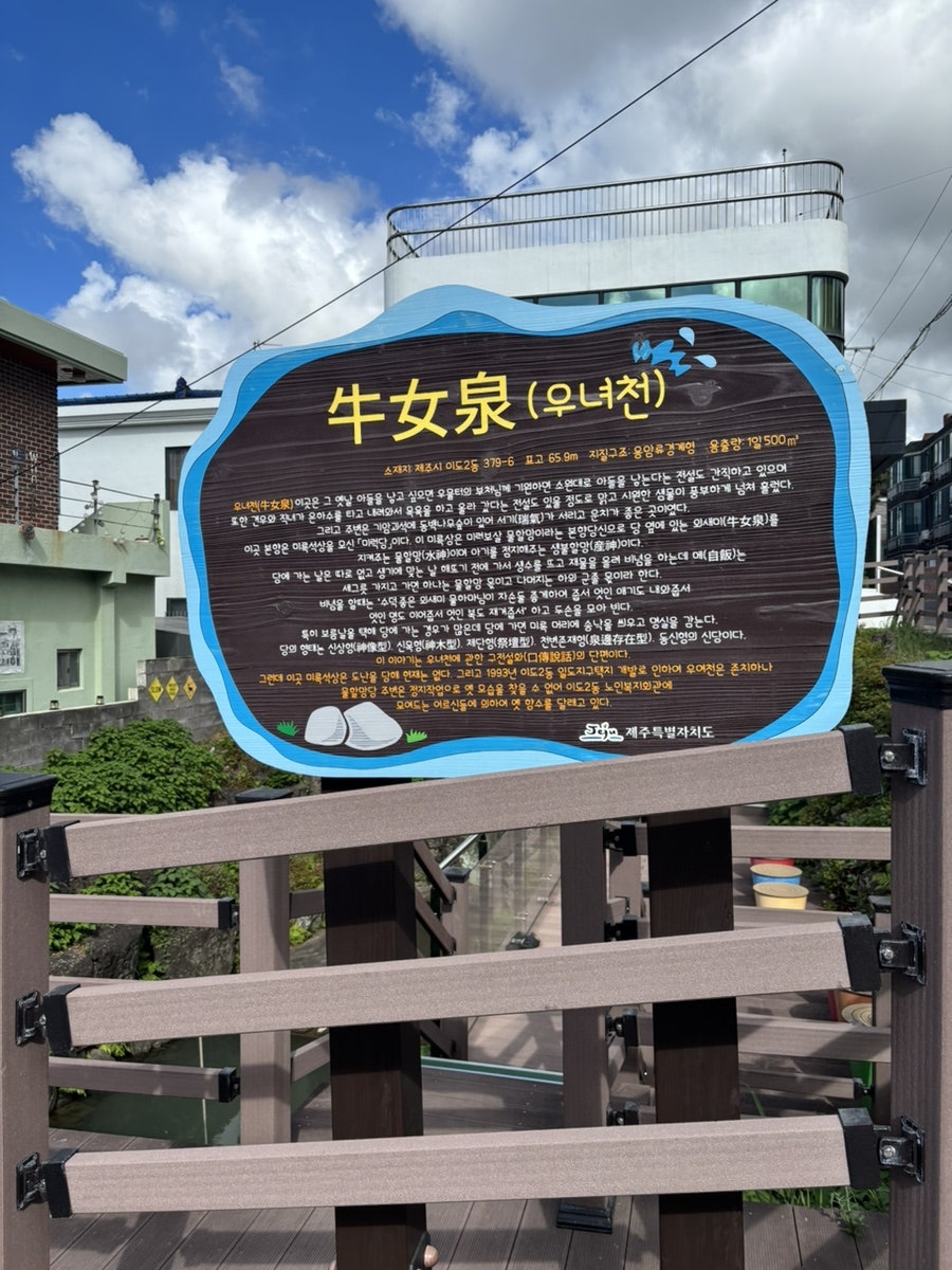 우여 사진 5