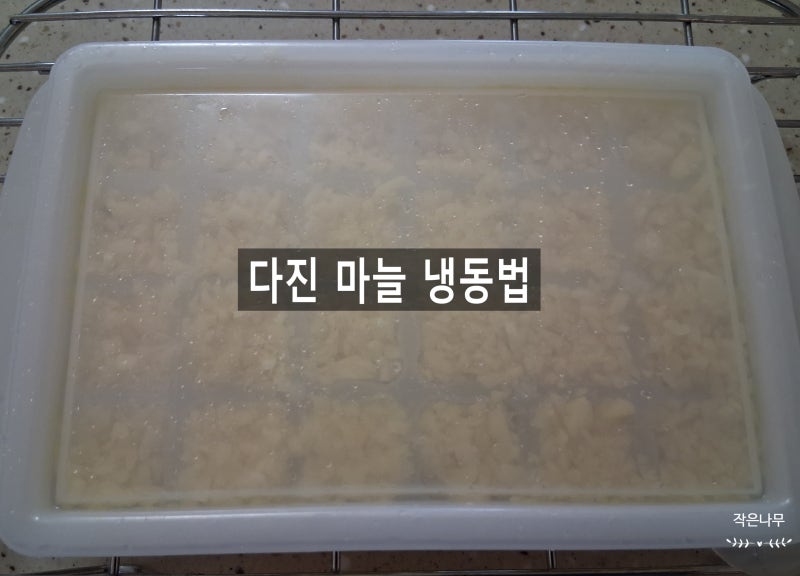 다진 마늘 냉동 보관법, 실리콘 얼음틀 활용법