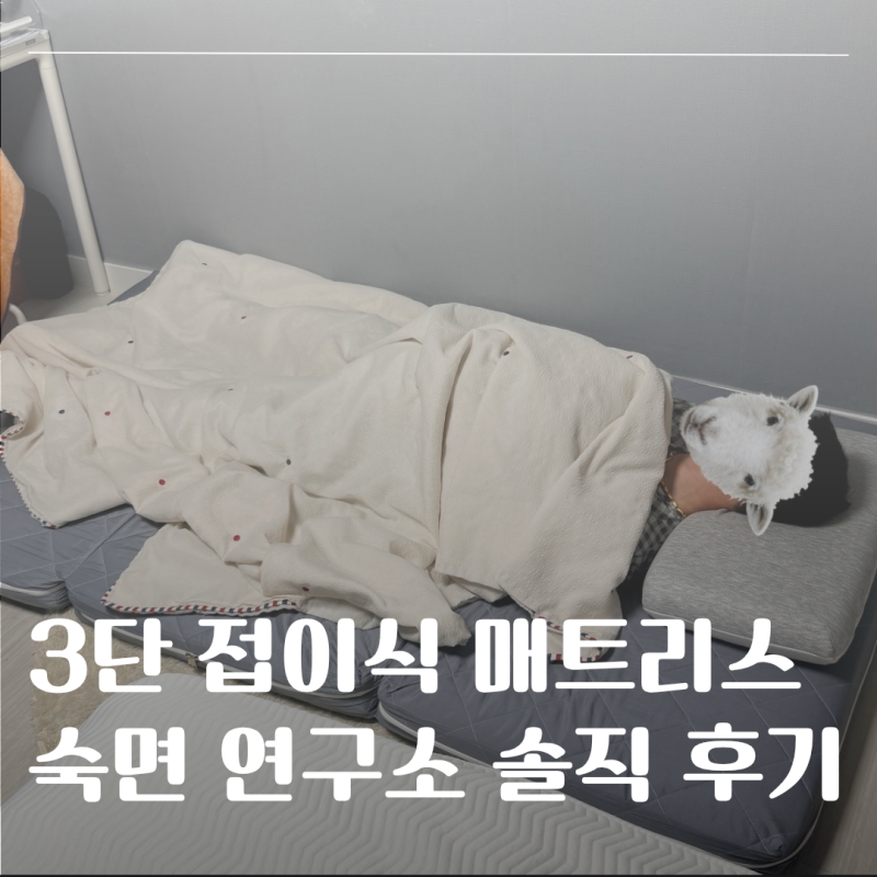 숙면연구소 3단 접이식 매트리스 후기｜원룸 바닥 매트리스 추천!