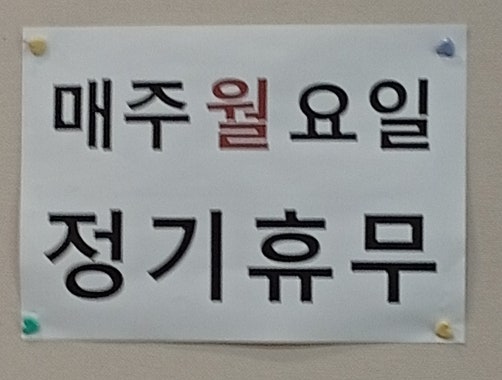 황금소나무 사진 4