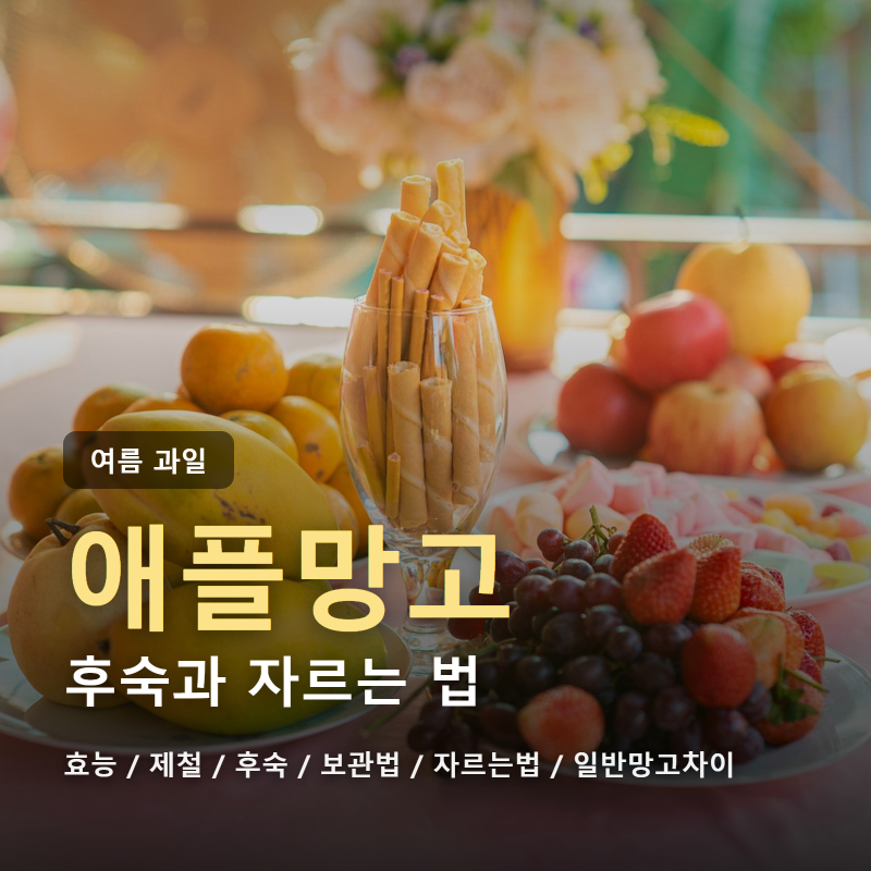 애플망고 후숙과 자르는법, 제철 효능 보관법