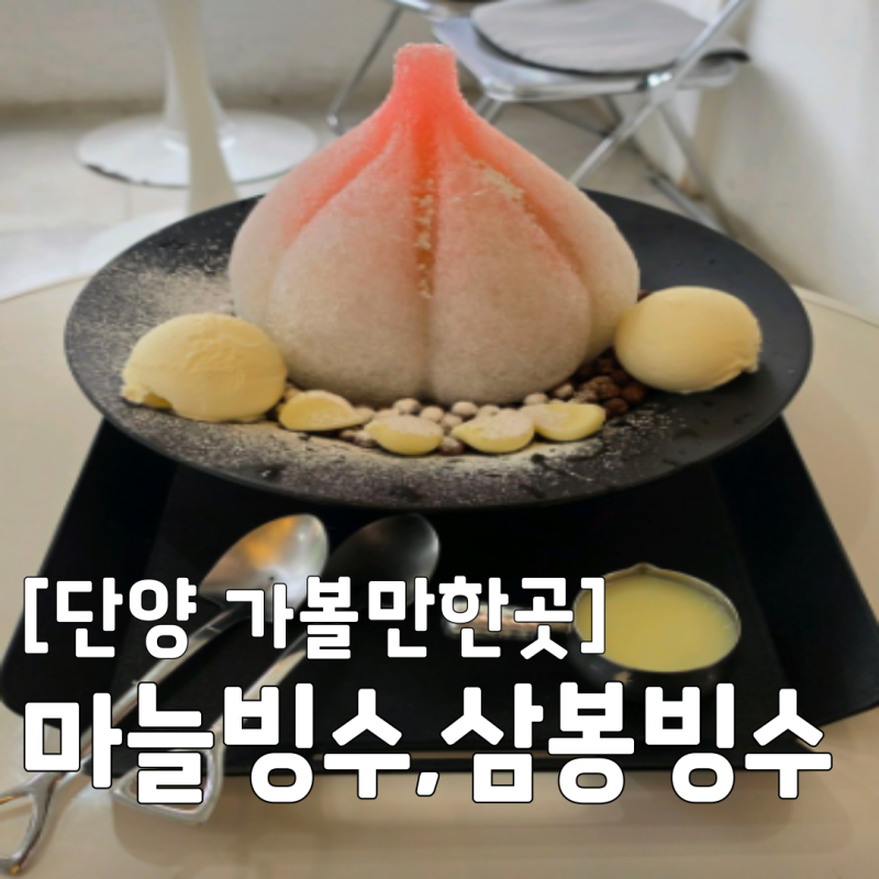 [단양 가볼만한곳] 생생정보 마늘빙수 삼봉빙수 카페 '제이비커피' 위치 및 정보 총정리
