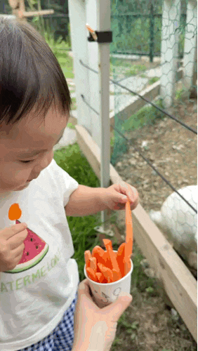 가평 애견동반 카페 아기랑 강아지랑 방문 후기 [제피르 산들바람 가평관광농원]