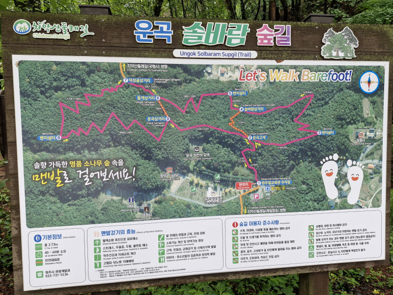 원주 운곡 솔바람 숲길 '26. 7/19