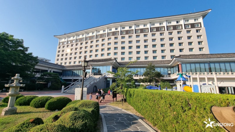(경주 수영장 호텔)경주 가성비 좋고 깔끔한 코모도 호텔 후기
