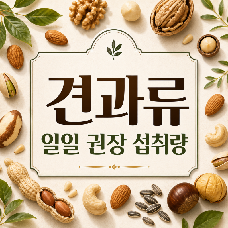 견과류 종류별 하루 권장 섭취량과 건강하게 먹는 방법
