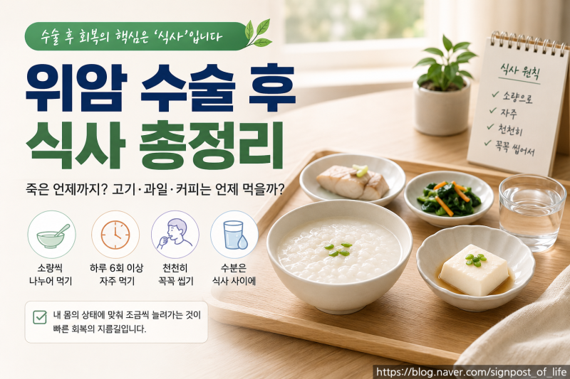 위암 수술 후 식사 총정리｜죽은 언제까지? 고기·과일·커피는 언제 먹을까?