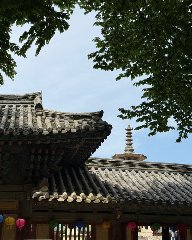 Gyeongju Bulguksa: Travel with a Baby, Less Walking, Bulgimun Parking Tips (Visit Review by 7-year-old and 3-year-old)