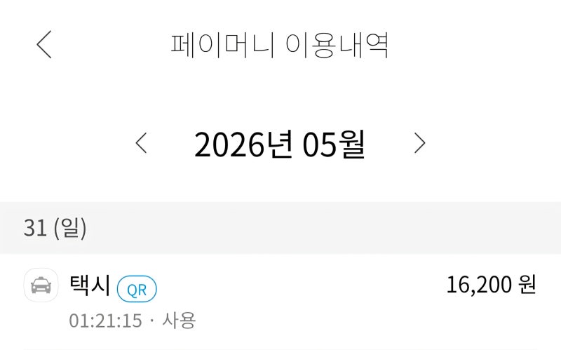 카카오T 티머니 이중결제 환불 후기｜결국 해결했습니다 (차량번호 조회 방법)
