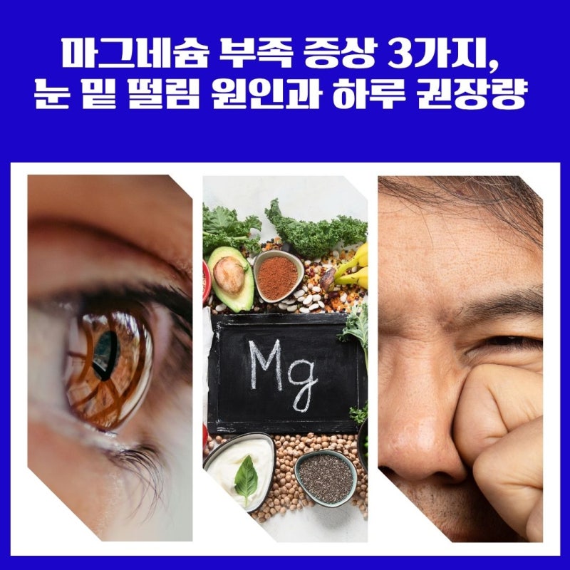 마그네슘 부족 증상 3가지, 눈 밑 떨림 원인과 하루 권장량 및 음식 추천