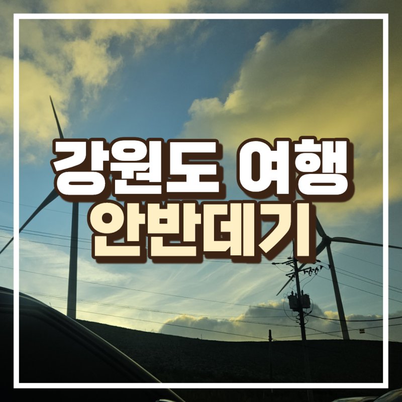 [강릉/안반데기] 나만 알고 싶은 구름 위의 땅 | 강릉 여행, 강원도 여행, 국내 여행, 여름휴가....