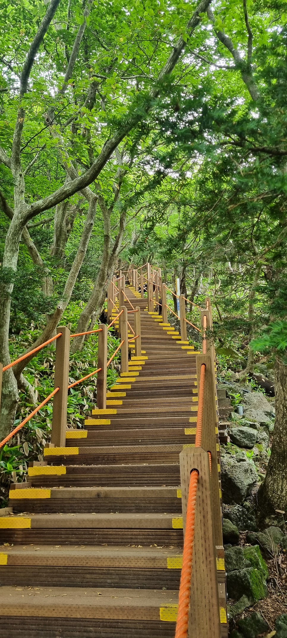 윗세오름 사진 4
