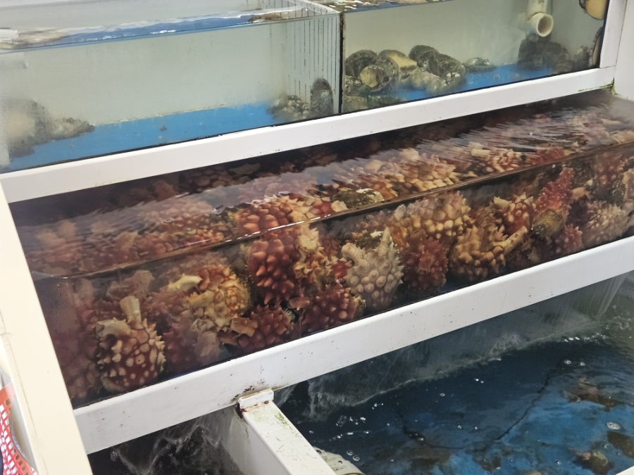 해담 사진 3
