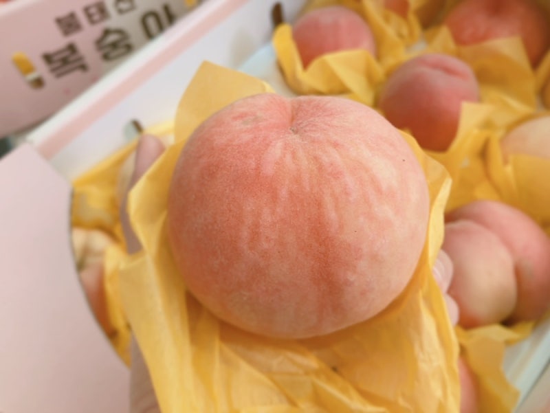 딱딱이복숭아 보관법부터 백도, 황도 차이까지 한눈에