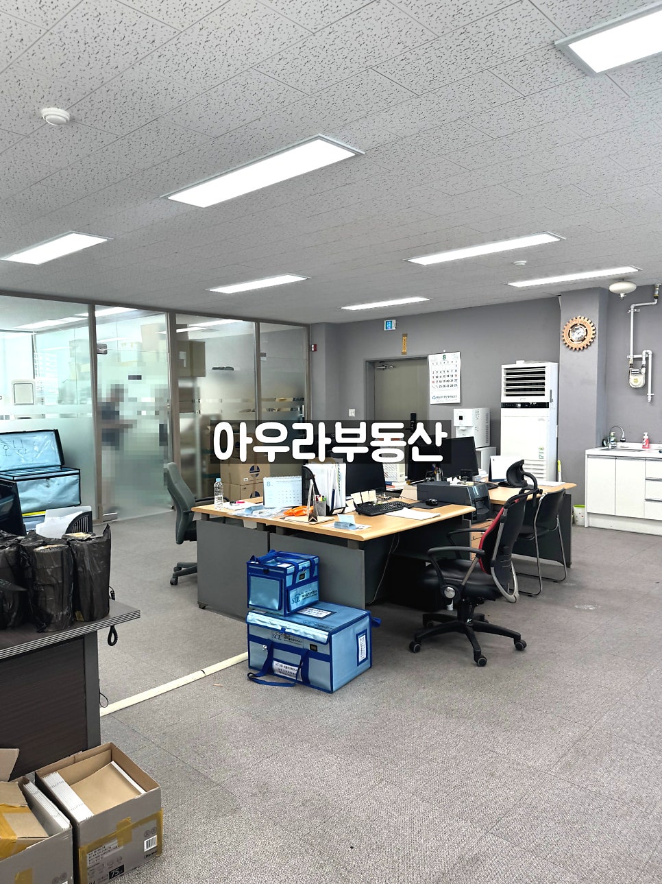 현 사진 4