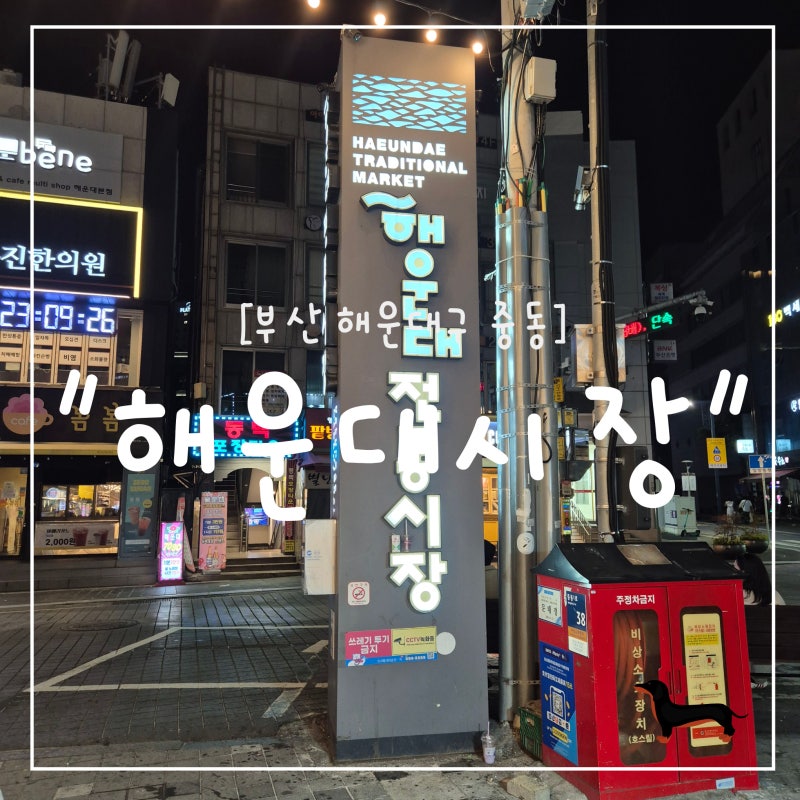 "부산 해운대구" 해운대시장 방문 후기｜부산 여행 필수 코스 해운대 먹거리