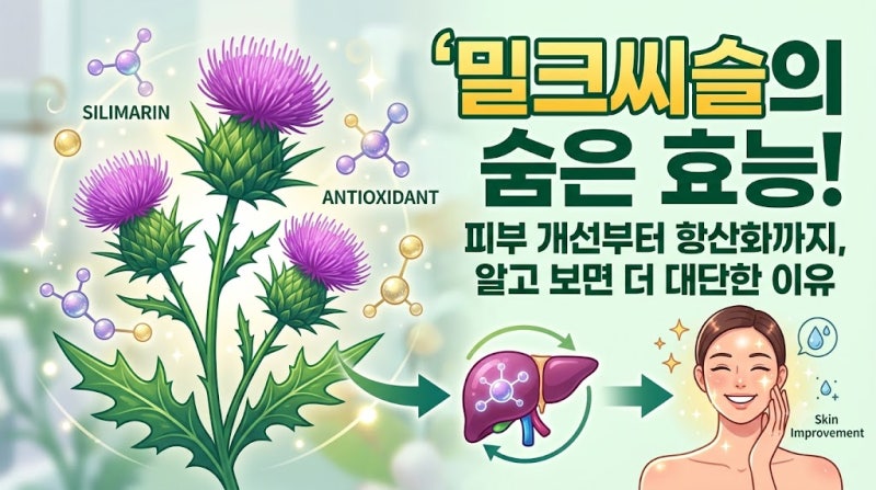 피부 개선부터 항산화까지, 알고 보면 더 대단한 밀크씨슬의 숨은 효능