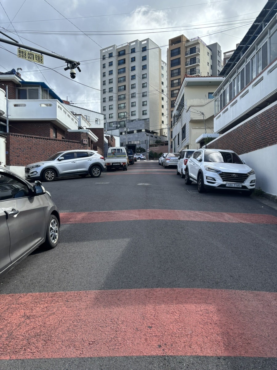우여 사진 3