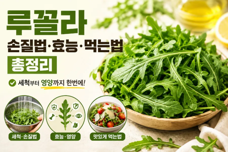 루꼴라 손질법·효능·먹는법 총정리 - 세척부터 영양까지 한번에