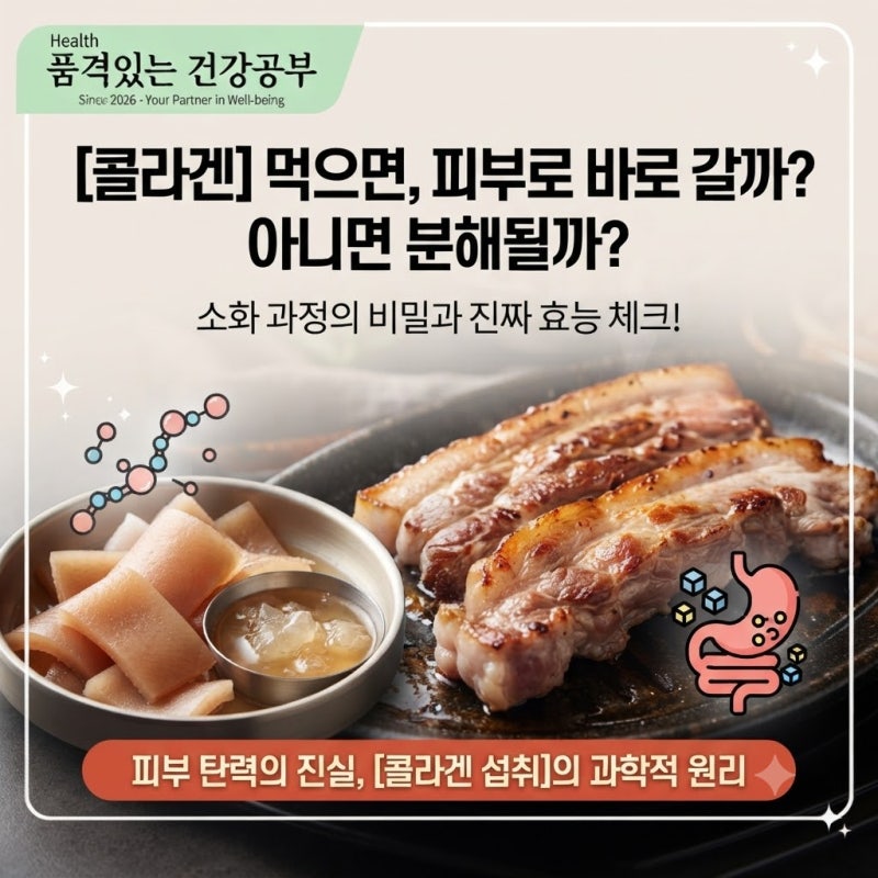 [콜라겐 먹어서 피부로 가나?] 돼지껍데기나 콜라겐 먹으면 소화 과정에서 다 분해되어 근육....