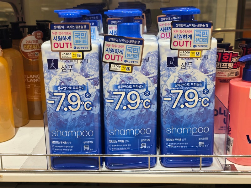 다이소 쿨샴푸 추천｜엘라스틴 국민뷰티템 익스트림쿨링 샴푸 840ml, 시원한 두피 관리템