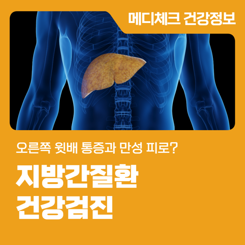 메디체크 마산 오른쪽 윗배 통증과 만성 피로? 지방간 검사