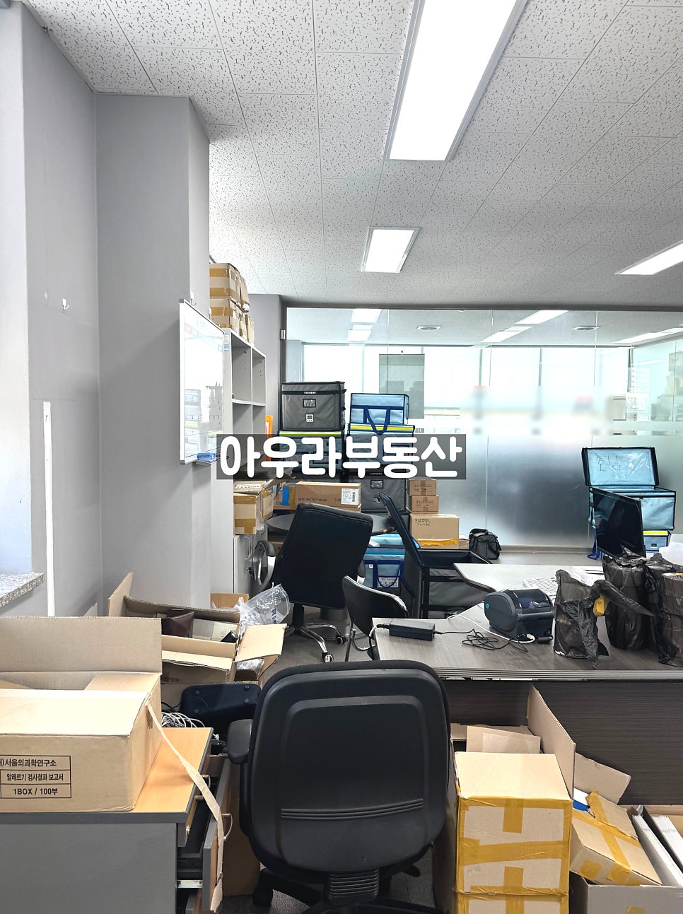 현 사진 3