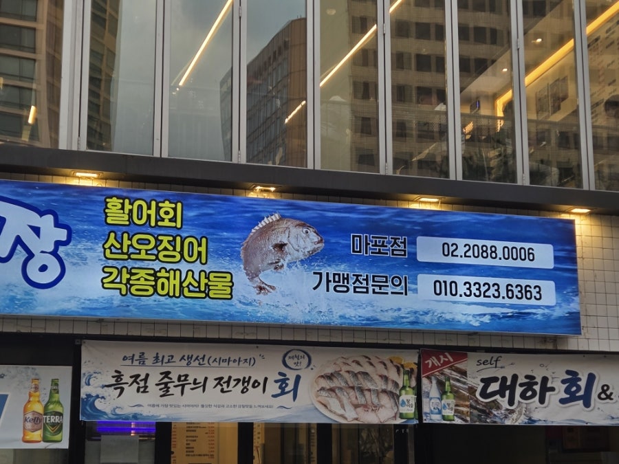 속초오징어어시장 마포점 사진 2