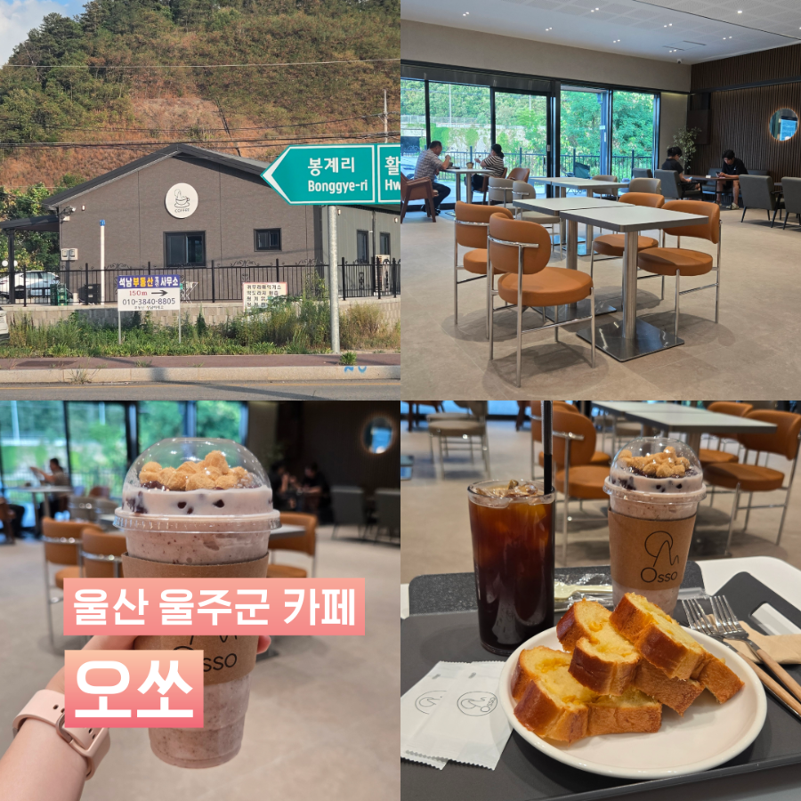오쏘 사진 1
