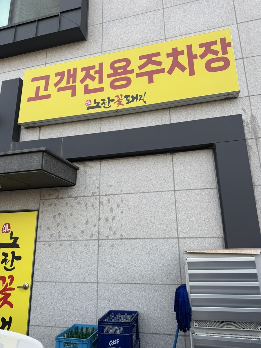 노란꽃돼지 사진 2