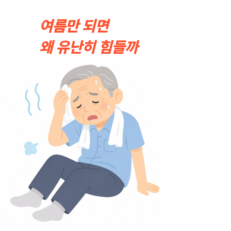 노인성 기력저하와 여름철 식욕부진, 병원 검사 정상일때 진짜 이유