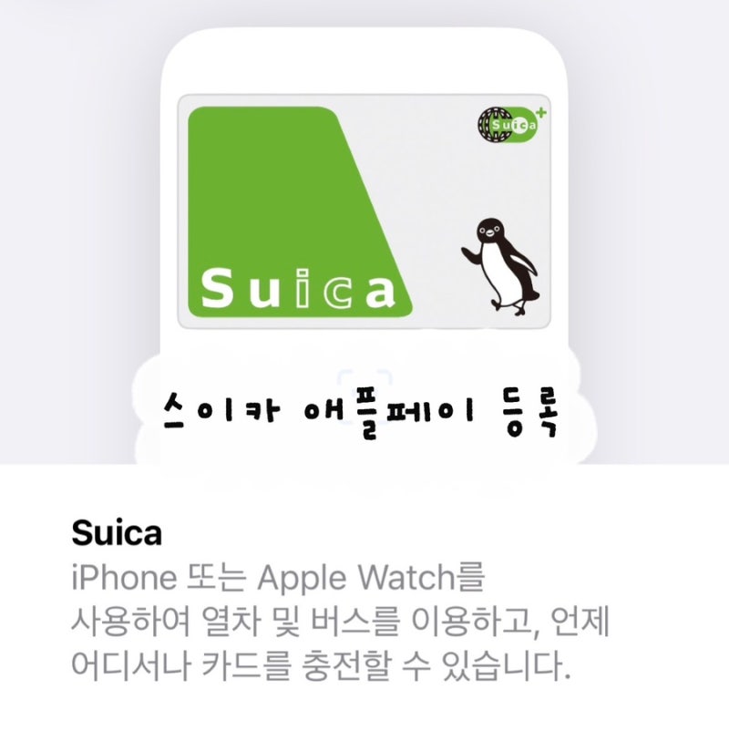 스이카 교통카드 애플페이 등록하는법 | 현대카드 필수