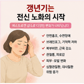 갱년기 영양제, 이것만 먼저 챙기세요! 의사가 추천한 필수 3가지