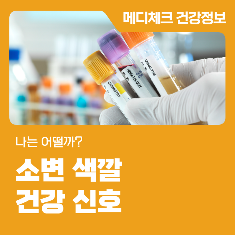 소변 색깔로 알아보는 건강 신호, 나는 어떨까?