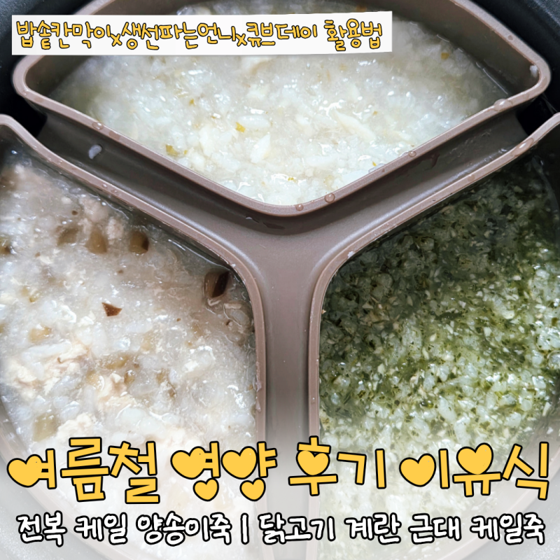 11개월 후기 이유식 여름철 아기 영양식 | 전복 케일 양송이죽 | 닭고기 계란 근대 케일죽