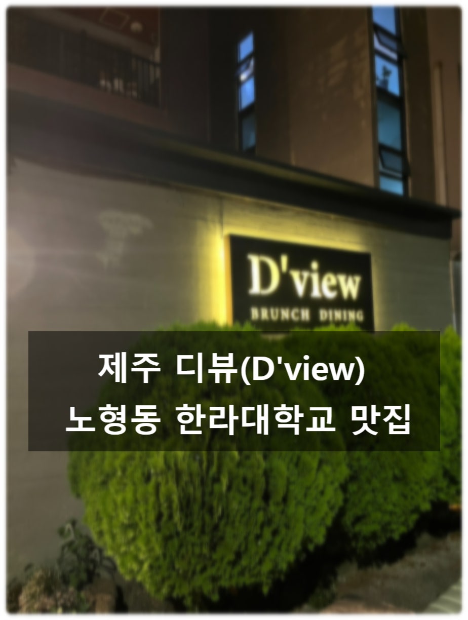 디뷰 사진 1