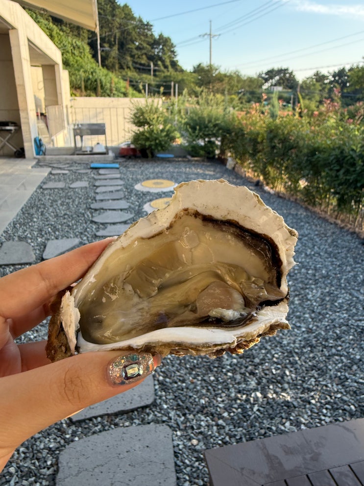 <b>거제</b> 고현<b>시장</b> 바다수산 바위굴 내돈내산 포장후기