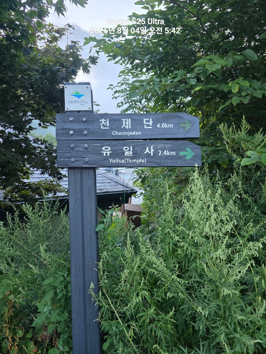 태백산국립공원 사진 5