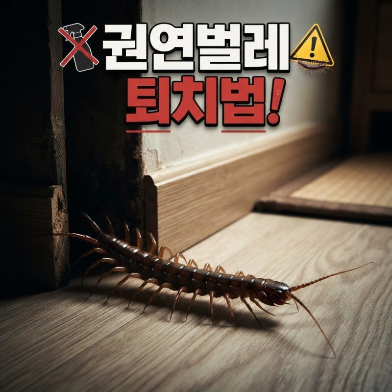 권연벌레 퇴치법 원인부터 물림 증상까지 2026 최신 정리