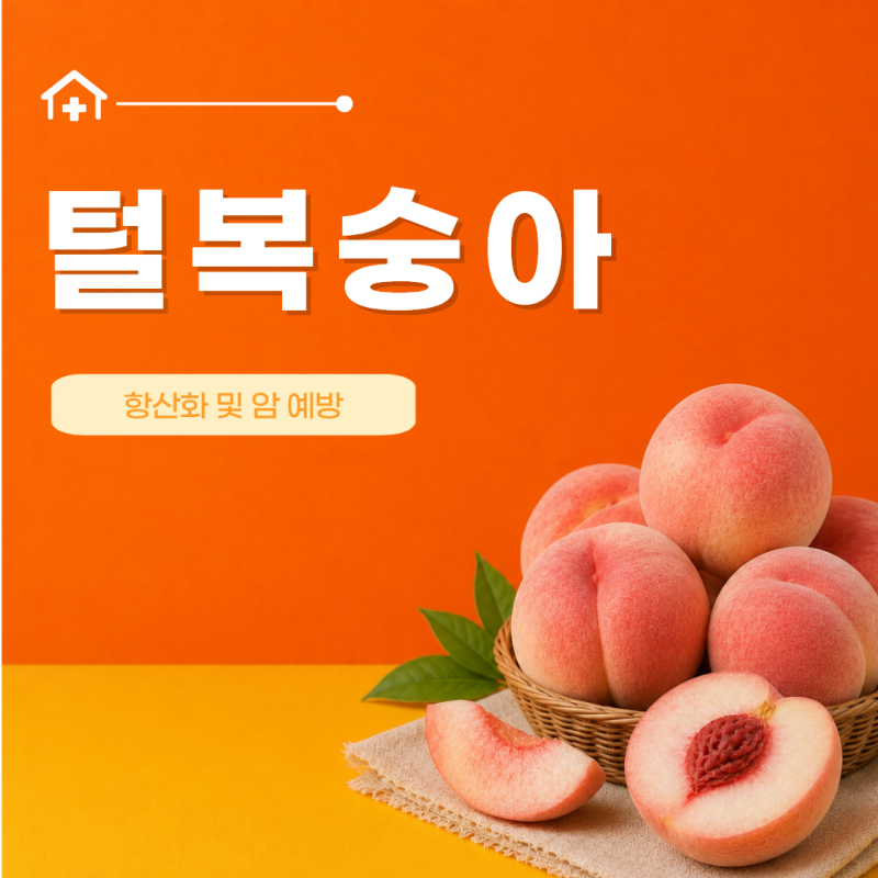 털복숭아 효능 7가지 칼로리 세척법 껍질 먹는 법 보관 법 강아지 급여